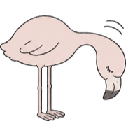 020