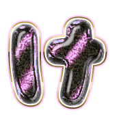 009
