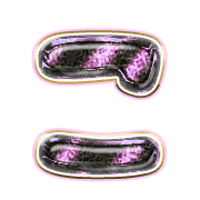010
