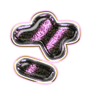 011