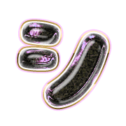 092