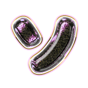 095