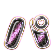 156