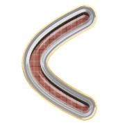 008