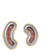 048