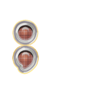 243