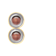 244