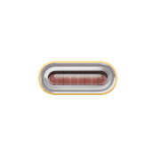 251