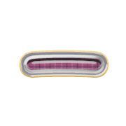 161