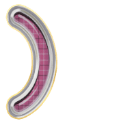 235