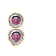 243