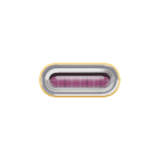 251