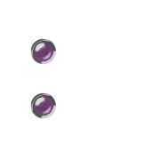 244