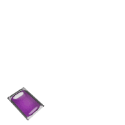 256