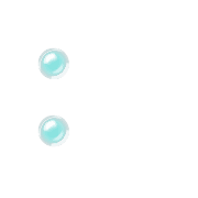244