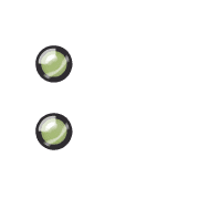 244
