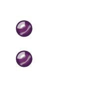 244