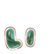 048