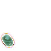 256