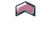 231