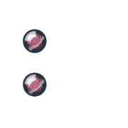 244