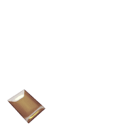 256
