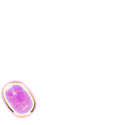 256