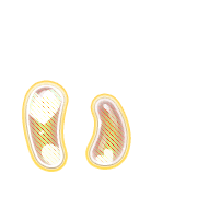 048