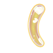 234