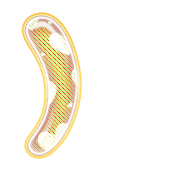 235