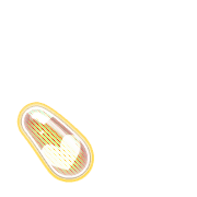 256