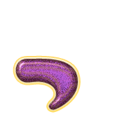 052