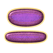 102
