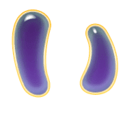 002