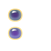 244