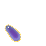 256