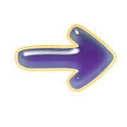 262