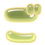 060