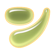 126