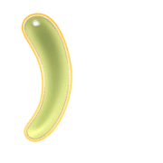 235