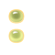 244