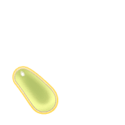 256