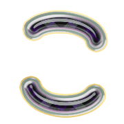 010