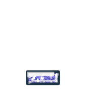250