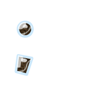 243