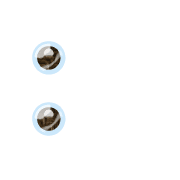 244