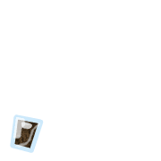 245