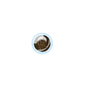 253