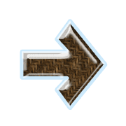 262