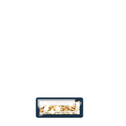 250
